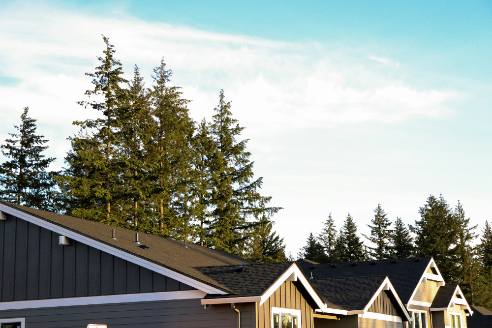 craftsman homes in camas with trees behind them